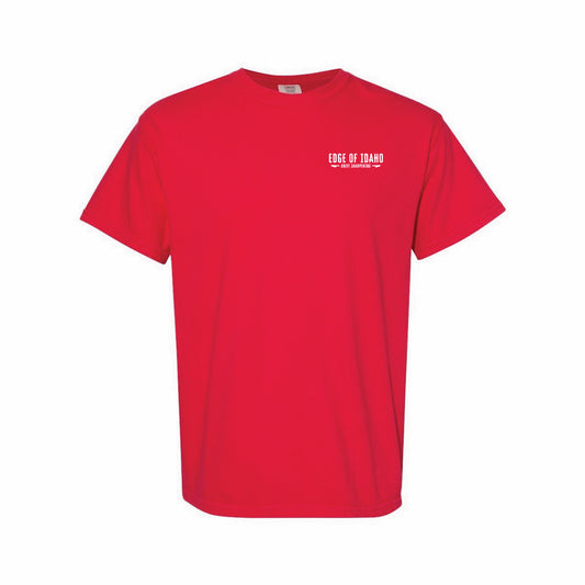 Comfort Colors 1717